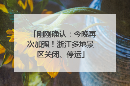 刚刚确认：今晚再次加强！浙江多地景区关闭、停运