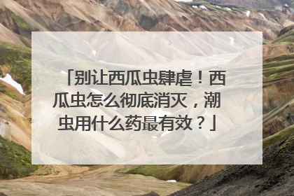 别让西瓜虫肆虐！西瓜虫怎么彻底消灭，潮虫用什么药最有效？