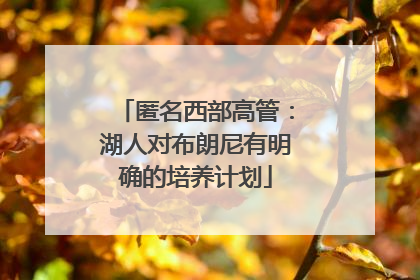 匿名西部高管：湖人对布朗尼有明确的培养计划