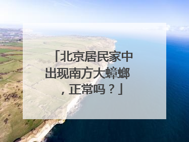 北京居民家中出现南方大蟑螂，正常吗？