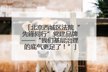 北京西城区法院“先锋同行”党建品牌——“我们基层治理的底气更足了！”