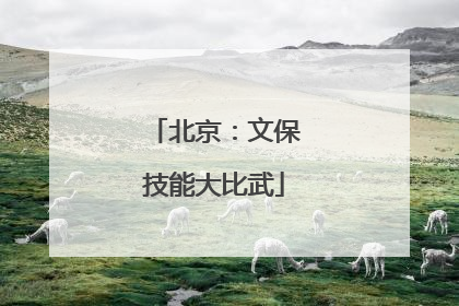北京：文保技能大比武