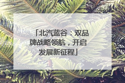 北汽蓝谷：双品牌战略领航，开启发展新征程