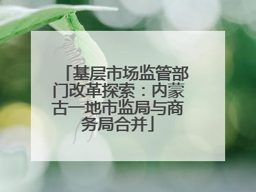 基层市场监管部门改革探索：内蒙古一地市监局与商务局合并