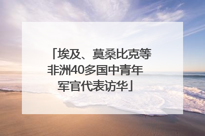 埃及、莫桑比克等非洲40多国中青年军官代表访华