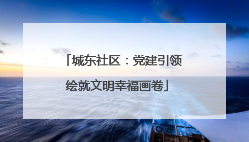 城东社区：党建引领绘就文明幸福画卷