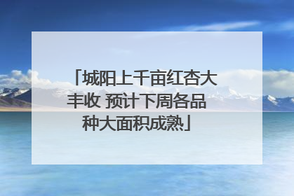 城阳上千亩红杏大丰收 预计下周各品种大面积成熟