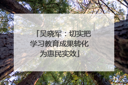 吴晓军：切实把学习教育成果转化为惠民实效