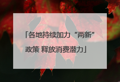 各地持续加力“两新”政策 释放消费潜力