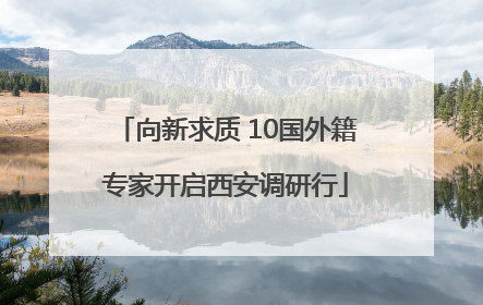 向新求质 10国外籍专家开启西安调研行