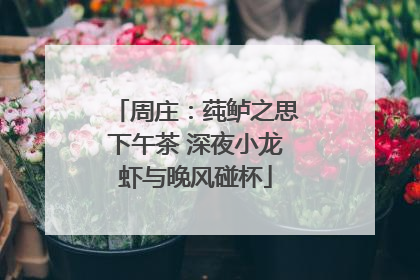 周庄：莼鲈之思下午茶 深夜小龙虾与晚风碰杯