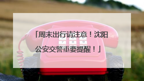 周末出行请注意！沈阳公安交警重要提醒！