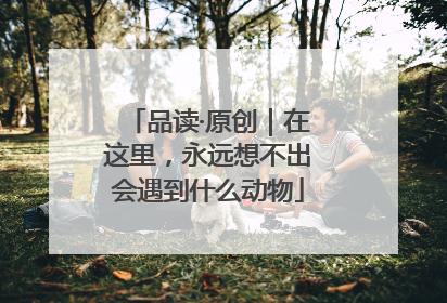品读·原创｜在这里，永远想不出会遇到什么动物