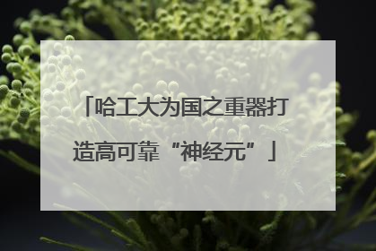 哈工大为国之重器打造高可靠“神经元”
