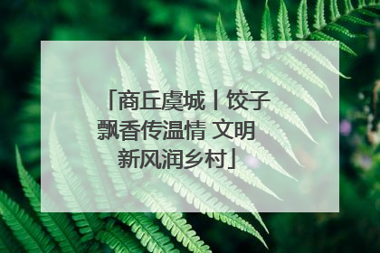 商丘虞城丨饺子飘香传温情 文明新风润乡村
