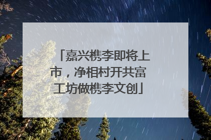 嘉兴槜李即将上市，净相村开共富工坊做槜李文创