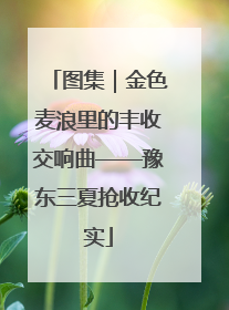 图集｜金色麦浪里的丰收交响曲——豫东三夏抢收纪实