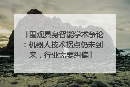 围观具身智能学术争论：机器人技术拐点仍未到来，行业需要纠偏