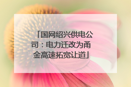 国网绍兴供电公司：电力迁改为甬金高速拓宽让道