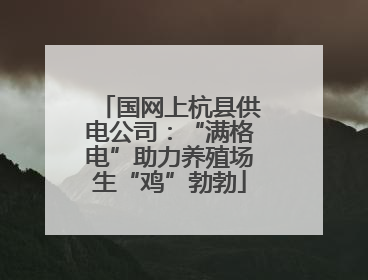 国网上杭县供电公司：“满格电”助力养殖场生“鸡”勃勃