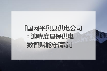 国网平舆县供电公司：迎峰度夏保供电  数智赋能守清凉