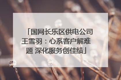 国网长乐区供电公司王雪羽：心系客户解难题 深化服务创佳绩