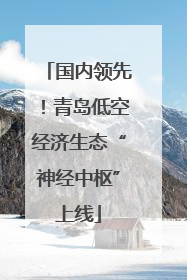 国内领先！青岛低空经济生态“神经中枢”上线
