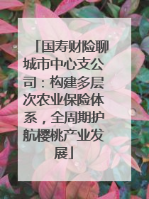 国寿财险聊城市中心支公司：构建多层次农业保险体系，全周期护航樱桃产业发展