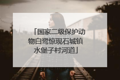 国家二级保护动物白鹭惊现石城镇水堡子村河道