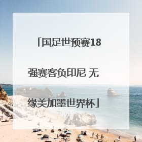 国足世预赛18强赛客负印尼 无缘美加墨世界杯