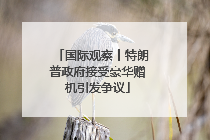 国际观察丨特朗普政府接受豪华赠机引发争议
