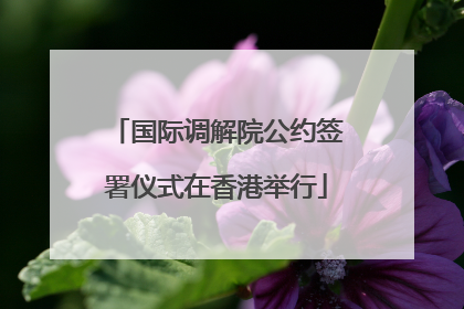国际调解院公约签署仪式在香港举行