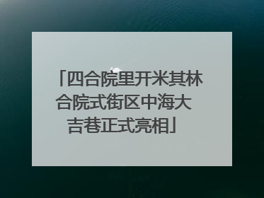 四合院里开米其林 合院式街区中海大吉巷正式亮相