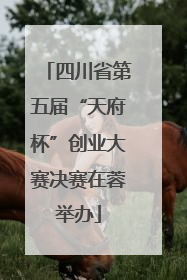 四川省第五届“天府杯”创业大赛决赛在蓉举办