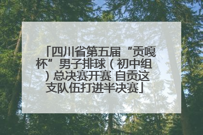 四川省第五届“贡嘎杯”男子排球（初中组）总决赛开赛 自贡这支队伍打进半决赛