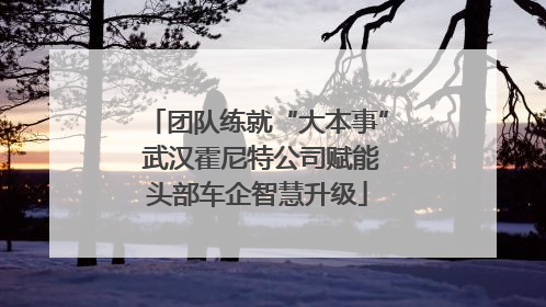 团队练就“大本事” 武汉霍尼特公司赋能头部车企智慧升级