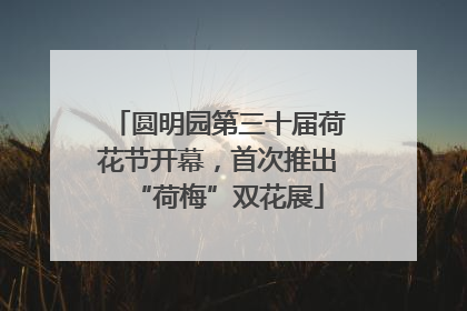 圆明园第三十届荷花节开幕，首次推出“荷梅”双花展
