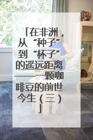 在非洲，从“种子”到“杯子”的遥远距离——一颗咖啡豆的前世今生（三）