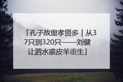 孔子故里孝贤多｜从37只到320只——刘健让泗水裘皮羊重生