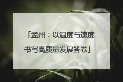 孟州：以温度与速度书写高质量发展答卷