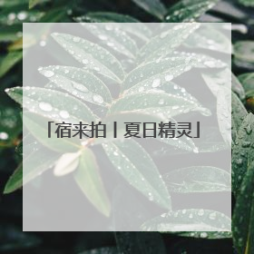 宿来拍丨夏日精灵