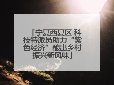 宁夏西夏区 科技特派员助力“紫色经济”酿出乡村振兴新风味