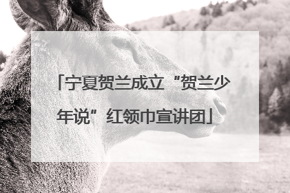 宁夏贺兰成立“贺兰少年说”红领巾宣讲团