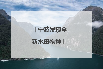 宁波发现全新水母物种