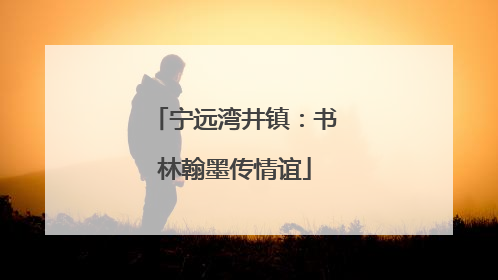 宁远湾井镇：书林翰墨传情谊