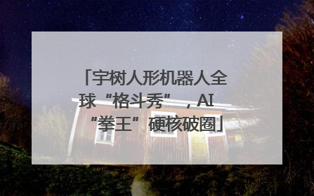宇树人形机器人全球“格斗秀”，AI“拳王”硬核破圈