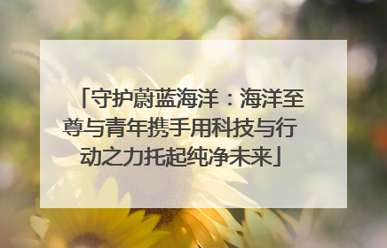守护蔚蓝海洋：海洋至尊与青年携手用科技与行动之力托起纯净未来
