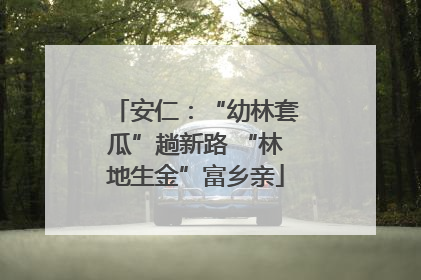 安仁：“幼林套瓜”趟新路 “林地生金”富乡亲