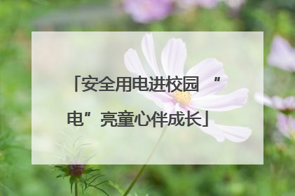 安全用电进校园 “电”亮童心伴成长