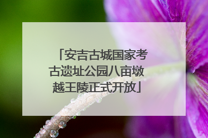 安吉古城国家考古遗址公园八亩墩越王陵正式开放